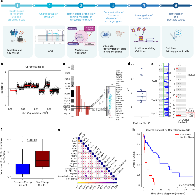 Chromothripsis-associated chromosome 21 amplification orchestrates transformation to blast-phase MPN through targetable overexpression of DYRK1A