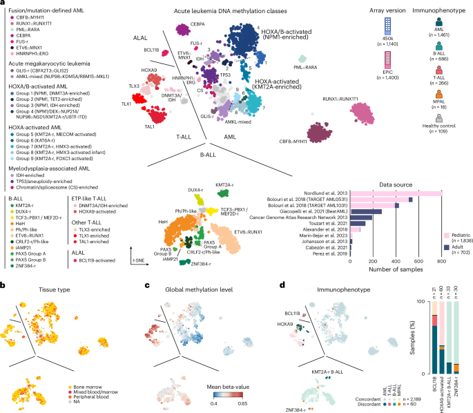 Rapid epigenomic classification of acute leukemia