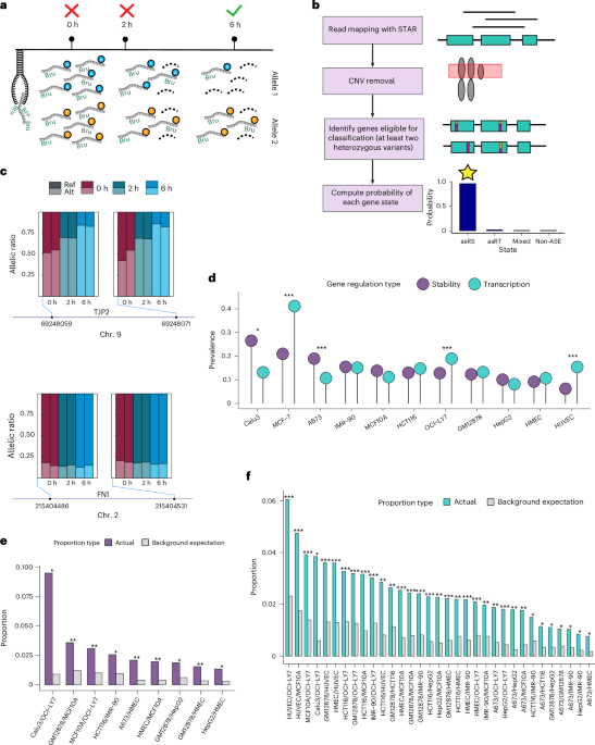 Genetic variants affecting RNA stability influence complex traits and disease risk