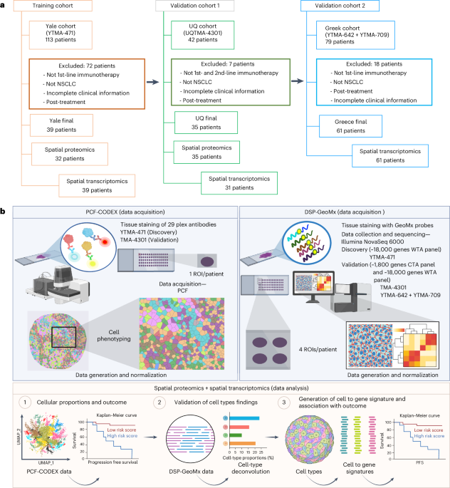 Spatial signatures for predicting immunotherapy outcomes using multi-omics in non-small cell lung cancer