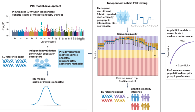 Recommendations for responsible use of population descriptors in ...