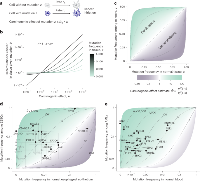 Age distinguishes selection from causation in cancer genomes