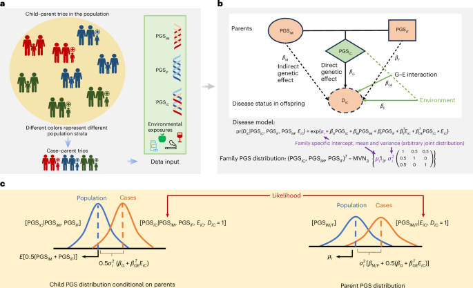 Estimation of direct and indirect polygenic effects and gene–environment interactions using polygenic scores in case–parent trio studies - Nature Genetics