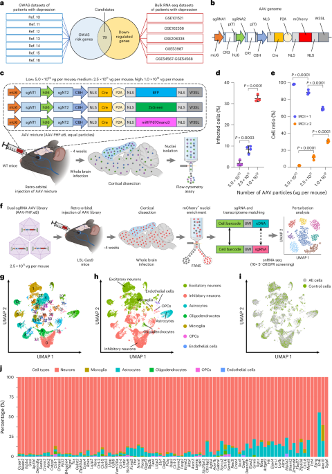 Linking GWAS risk genes to transcriptional features of major depressive disorder via in vivo Perturb-seq