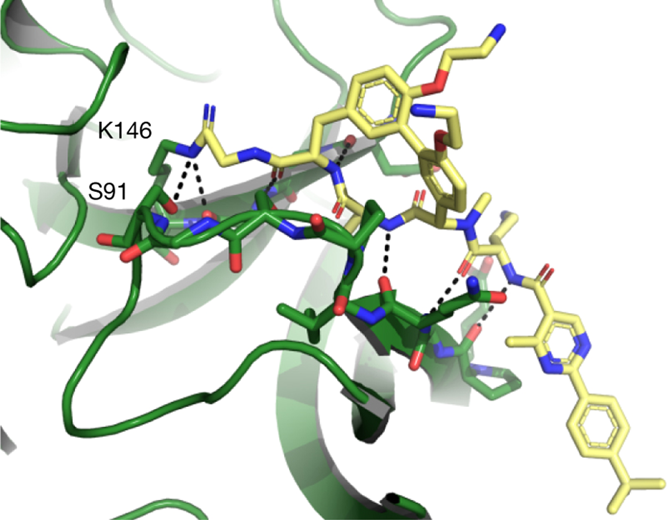 No more ESKAPE | Nature Chemical Biology