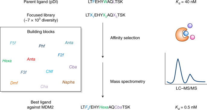 Affinity selection and sequencing 