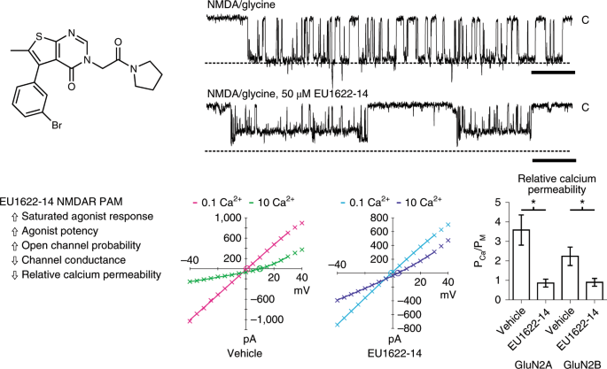 Biased modulators of nmda receptors control channel opening and ion selectivity