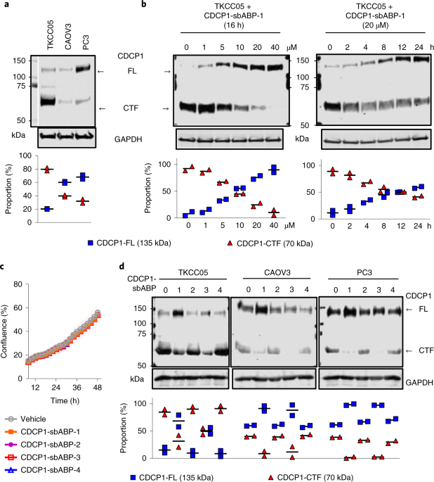 https://media.springernature.com/m685/springer-static/image/art%3A10.1038%2Fs41589-021-00783-w/MediaObjects/41589_2021_783_Fig2_HTML.png