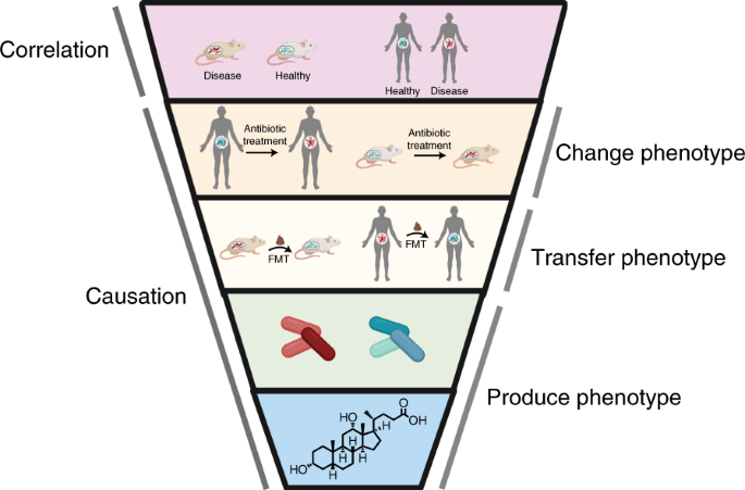 Chains of evidence from correlations to causal molecules in microbiome-linked diseases