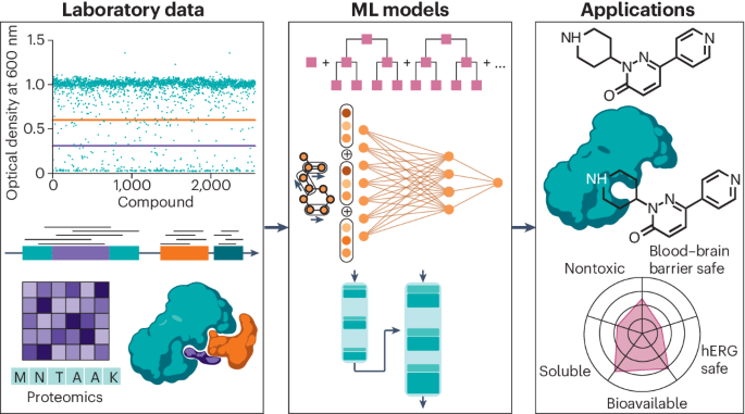 Machine learning in preclinical drug discovery | Nature Chemical 