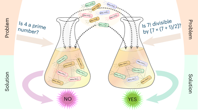 Multicellular artificial neural network-type architectures 