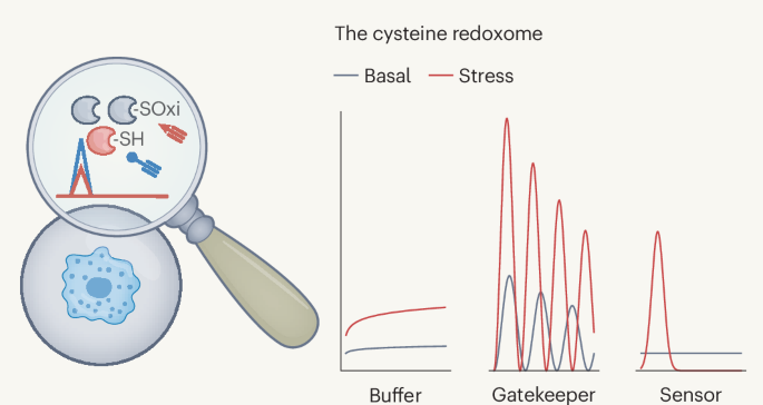 dr sircus nebulizing glutathione NAC (N-Acetyl-cysteine) and Glutathione----Delivery Methods
