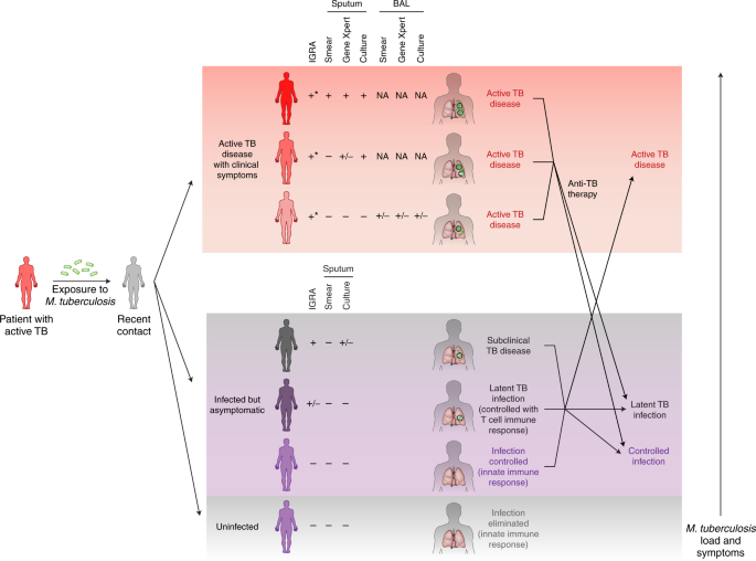 The value of transcriptomics in advancing knowledge of the immune response and diagnosis in tuberculosis