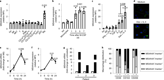 The macrophage tetraspan MS4A4A enhances dectin-1-dependent NK cell–mediated resistance to metastasis