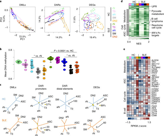 Epigenetic programming underpins b cell dysfunction in human sle