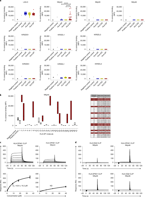 A subset of hla-dp molecules serve as ligands for the natural cytotoxicity receptor nkp44