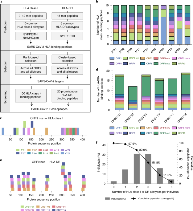 Sars Cov 2 Derived Peptides Define Heterologous And Covid 19 Induced T Cell Recognition Nature Immunology