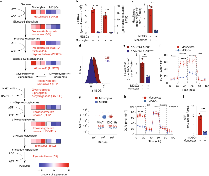 Shimadzu 1394 driver download for windows 7 Shimadzu 1394 driver download for windows 7