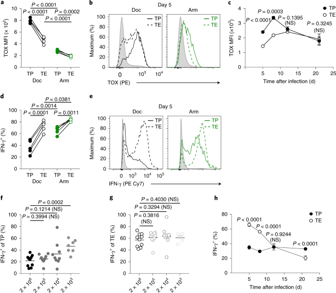 Functional properties of TSTEM and TPEX cells a, Representative