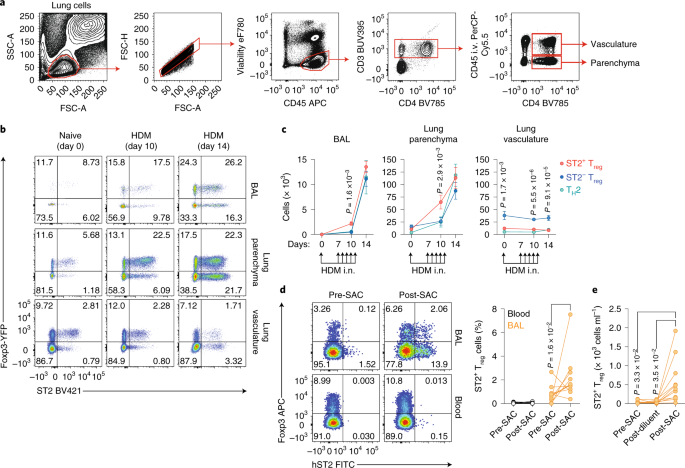 Interleukin-33 activates regulatory t cells to suppress innate γδ t cell responses in the lung
