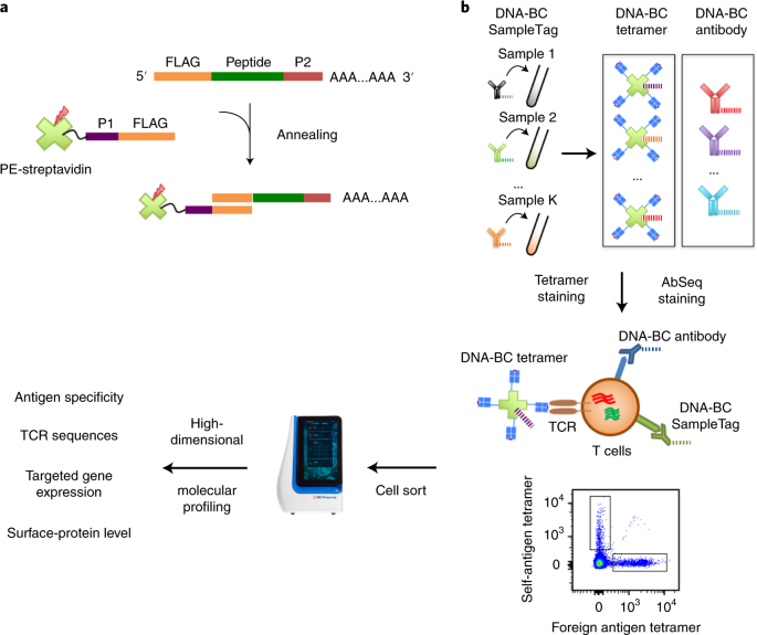 Dialing In Dimensional Accuracy With Horizontal Expansion 