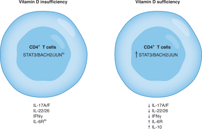 Role of the T cell vitamin D receptor in severe COVID-19 | Nature Immunology