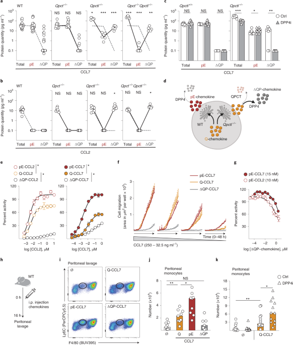 Loss of the intracellular enzyme QPCTL limits chemokine function and reshapes myeloid infiltration to augment tumor immunity