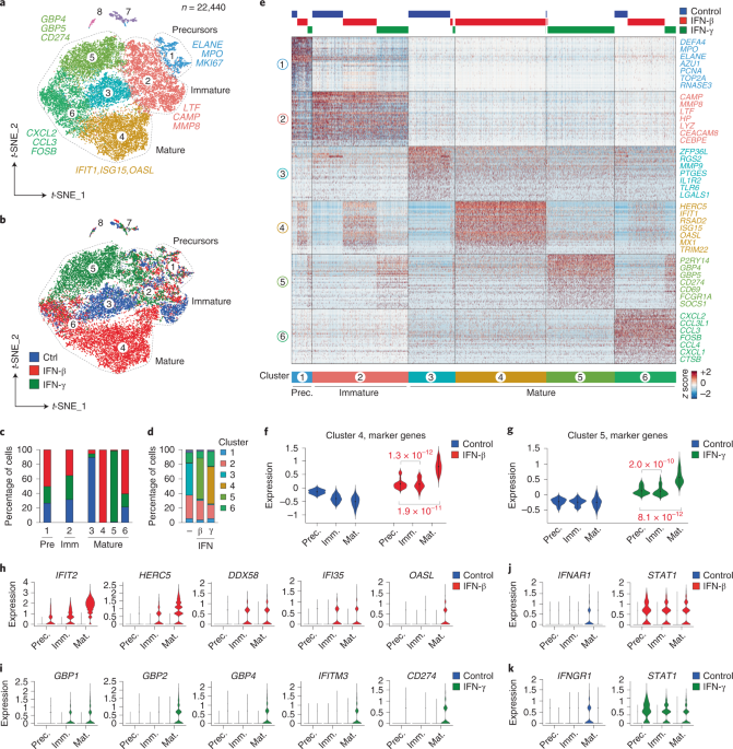 Cellular and transcriptional dynamics of human neutrophils at steady state  and upon stress