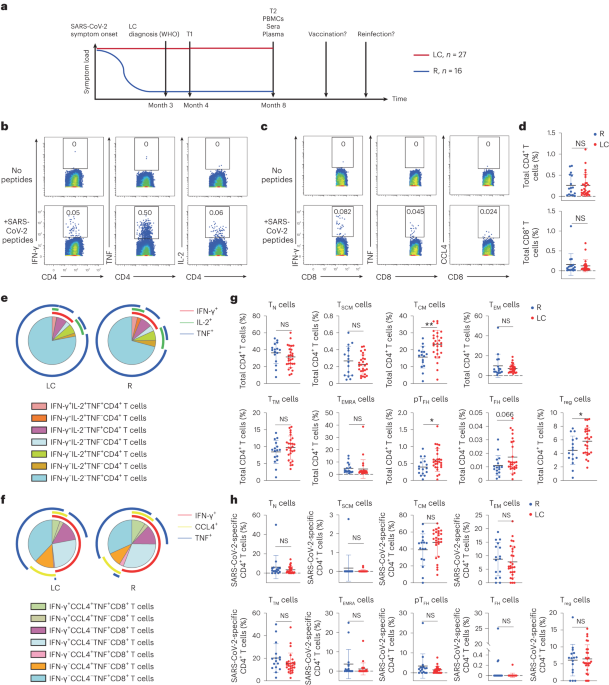 Long COVID manifests with T cell dysregulation, inflammation and an uncoordinated adaptive immune response to SARS-CoV-2 - Nature Immunology