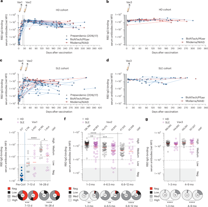 Disease-associated b cells and immune endotypes shape adaptive immune responses to sars-cov-2 mrna vaccination in human sle