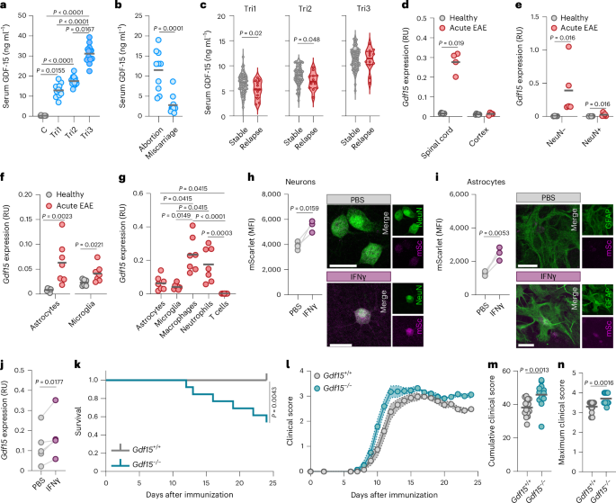 A GDF-15–GFRAL axis controls autoimmune T cell responses during neuroinflammation - Nature Immunology