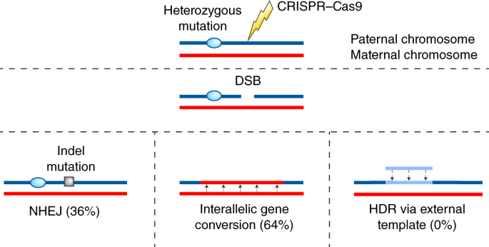 figure3