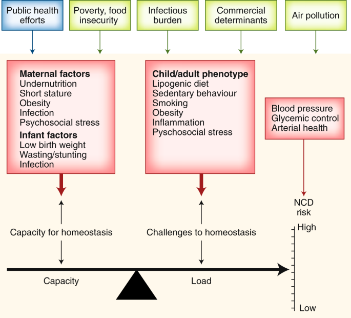 Understanding the rise of cardiometabolic diseases in low- and