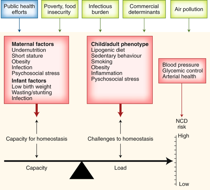 Understanding the rise of cardiometabolic diseases in low- and middle-income countries | Nature Medicine