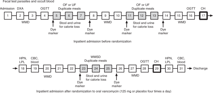 Effects of underfeeding and oral vancomycin on gut microbiome and nutrient absorption in humans