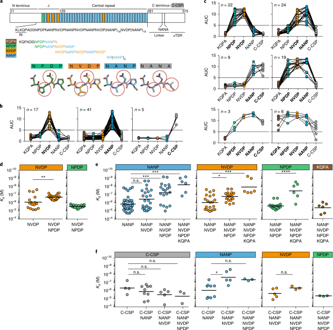 Evolution Of Protective Human Antibodies Against Plasmodium Falciparum Circumsporozoite Protein Repeat Motifs Nature Medicine