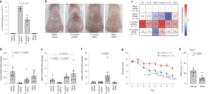 Researchers use skin-colonizing bacteria to create a topical cancer therapy  in mice, News Center