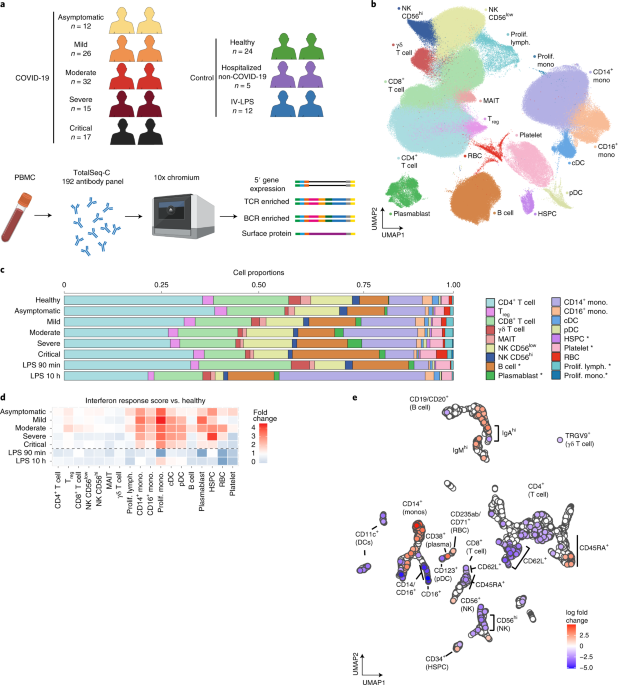 Single-cell multi-omics analysis of the immune response in COVID-19