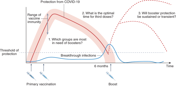 Boosting immunity to COVID-19 vaccines | Nature Medicine