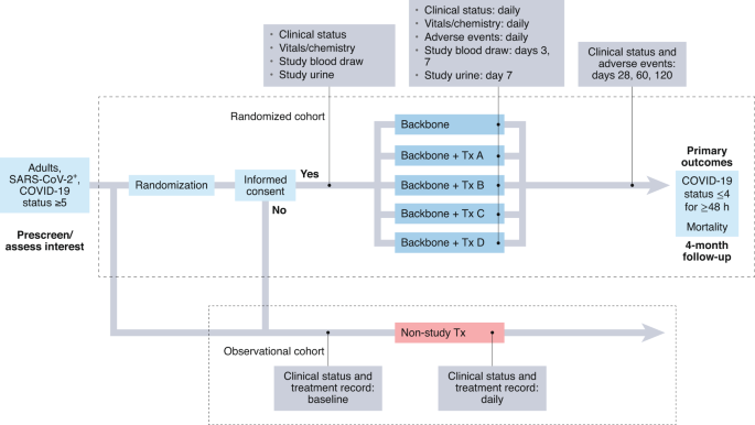 Clinical trial design during and beyond the pandemic: the I-SPY COVID trial  | Nature Medicine