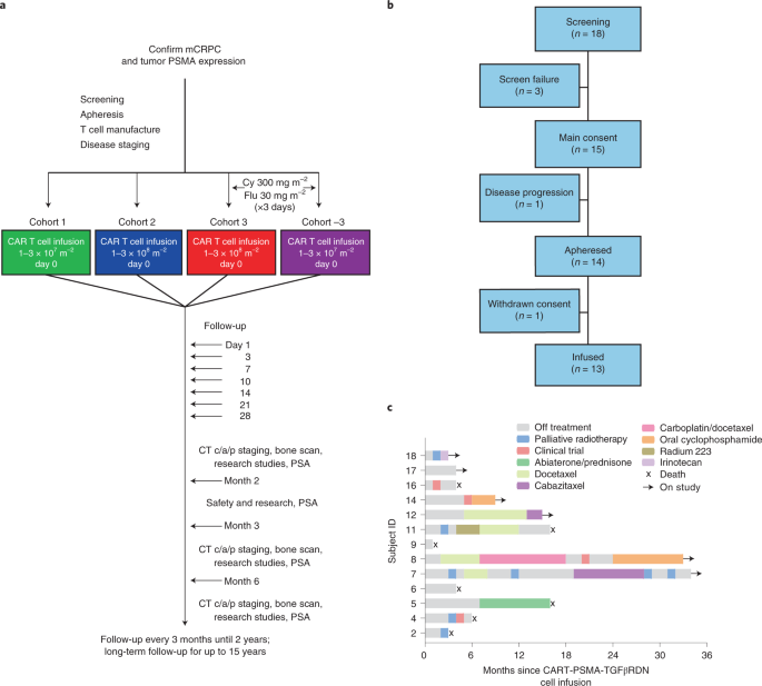 PSMA-targeting TGFβ-insensitive armored CAR T cells in metastatic  castration-resistant prostate cancer: a phase 1 trial | Nature Medicine