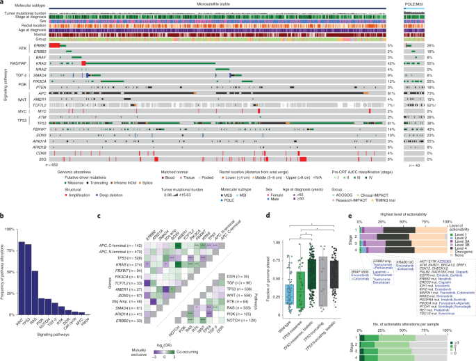 Genomic and transcriptomic determinants of response to neoadjuvant therapy in rectal cancer