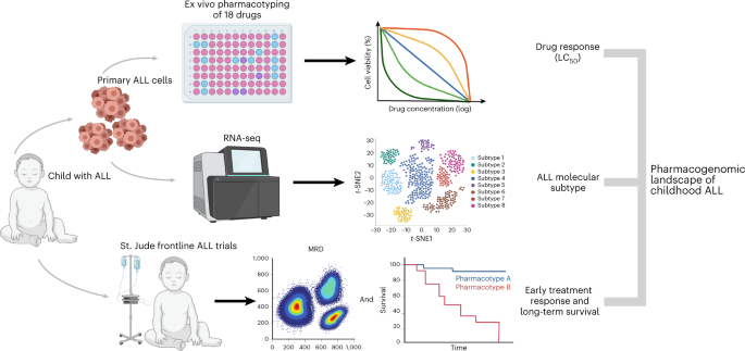 Frontiers  Pharmacogenetics of pediatric acute lymphoblastic leukemia in  Uruguay: adverse events related to induction phase drugs