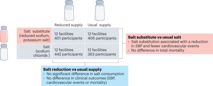 Benefits of salt substitution in care facilities for the elderly