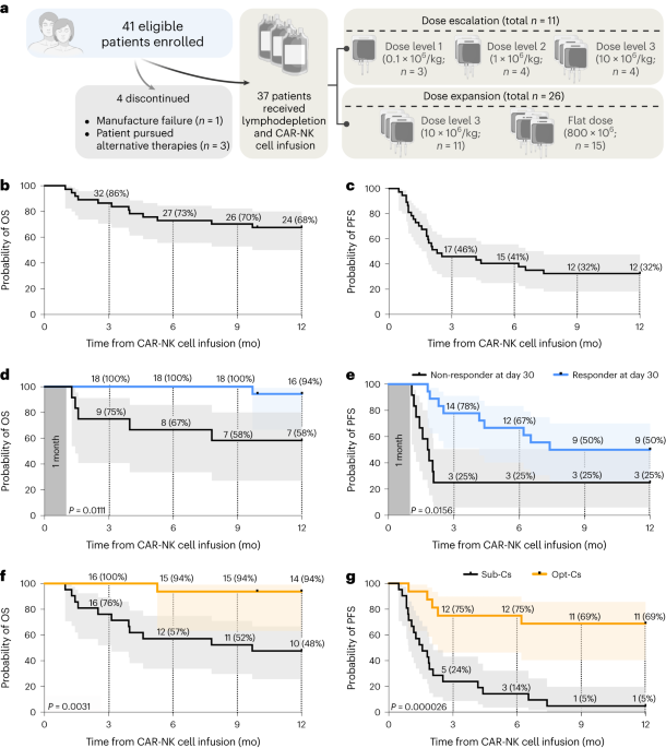 Safety, efficacy and determinants of response of allogeneic CD19 ...