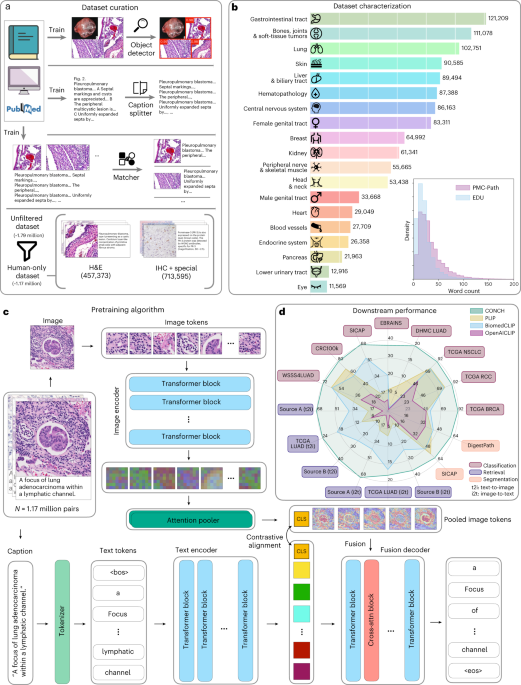 A visual-language foundation model for computational pathology 