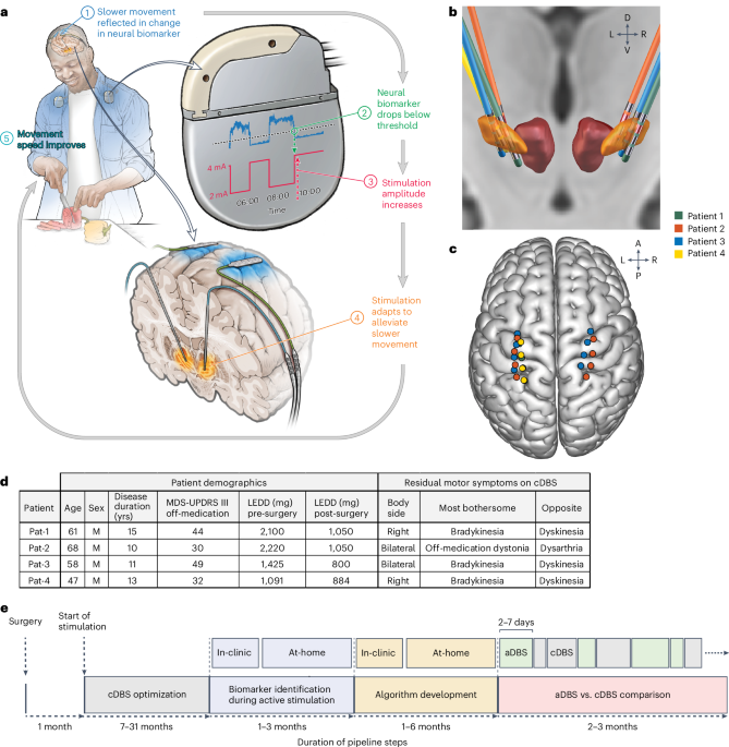 Neuroplasticity Pathways