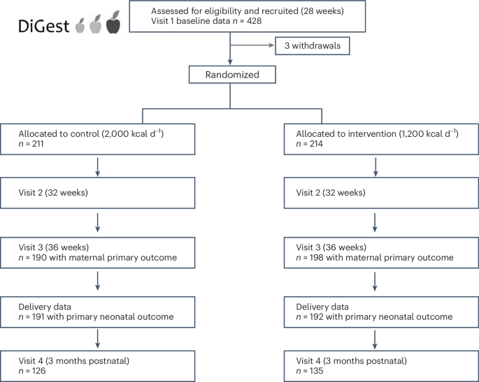 Reduced-energy diet in women with gestational diabetes: the dietary intervention in gestational diabetes DiGest randomized clinical trial