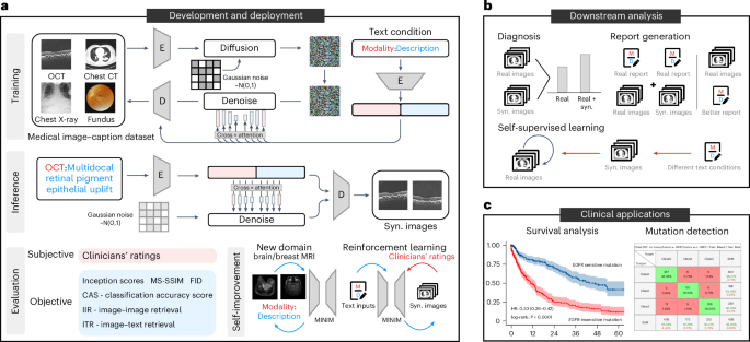 Self-improving generative foundation model for synthetic medical image ...