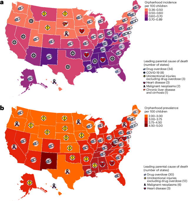 Visualiser les effets et les causes des décès des soignants sur les enfants aux États-Unis